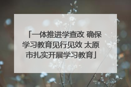 一体推进学查改 确保学习教育见行见效 太原市扎实开展学习教育
