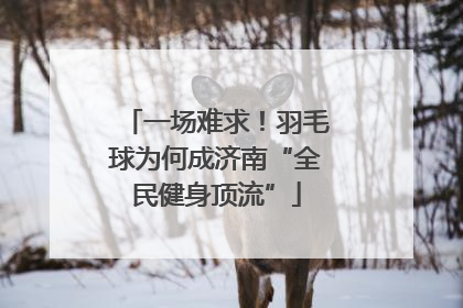 一场难求！羽毛球为何成济南“全民健身顶流”