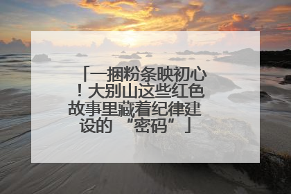 一捆粉条映初心！大别山这些红色故事里藏着纪律建设的 “密码”