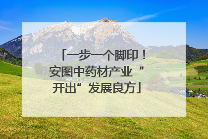 一步一个脚印！安图中药材产业“开出”发展良方