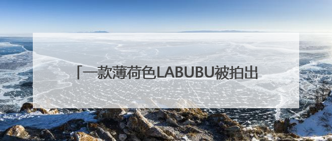 一款薄荷色LABUBU被拍出108万！系“全球唯一一只”