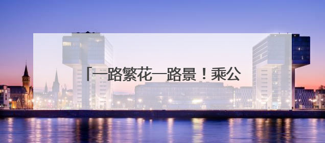 一路繁花一路景！乘公交也能玩出“旅游感”