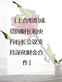 上合组织成员国财长和央行行长会议支持深化财金合作