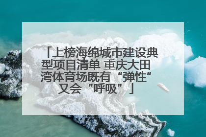 上榜海绵城市建设典型项目清单 重庆大田湾体育场既有“弹性”又会“呼吸”