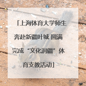 上海体育大学师生奔赴新疆叶城 圆满完成“文化润疆”体育支教活动