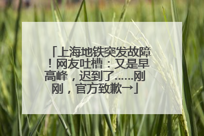 上海地铁突发故障！网友吐槽：又是早高峰，迟到了……刚刚，官方致歉→