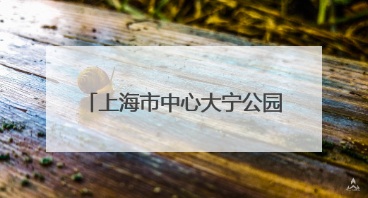 上海市中心大宁公园音乐喷泉焕新回归 “科技硬件”与“文化软件”完美融合