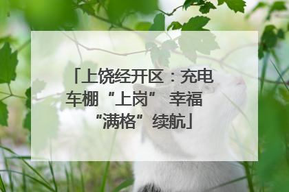上饶经开区：充电车棚“上岗” 幸福“满格”续航