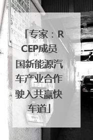 专家：RCEP成员国新能源汽车产业合作驶入共赢快车道