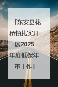 东安县花桥镇扎实开展2025年度低保年审工作