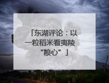 东湖评论：以一粒稻米看夷陵“粮心”