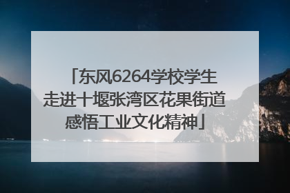 东风6264学校学生走进十堰张湾区花果街道感悟工业文化精神