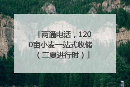 两通电话，1200亩小麦一站式收储（三夏进行时）