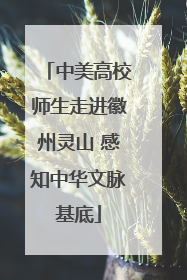 中美高校师生走进徽州灵山 感知中华文脉基底
