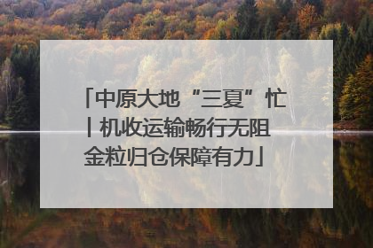中原大地“三夏”忙丨机收运输畅行无阻 金粒归仓保障有力