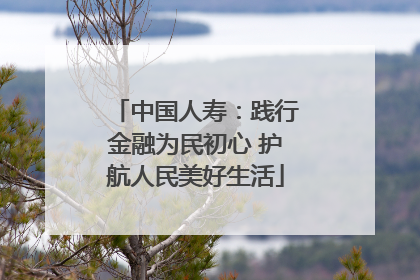 中国人寿：践行金融为民初心 护航人民美好生活