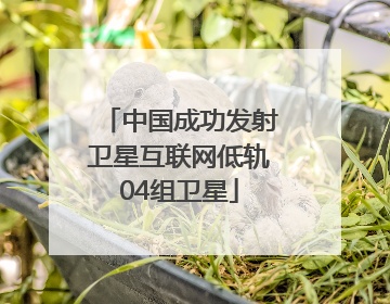 中国成功发射卫星互联网低轨04组卫星