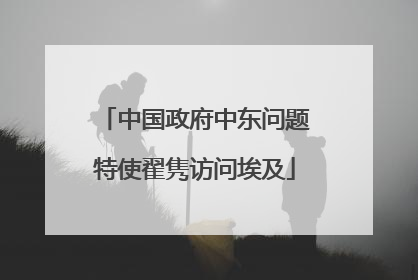 中国政府中东问题特使翟隽访问埃及