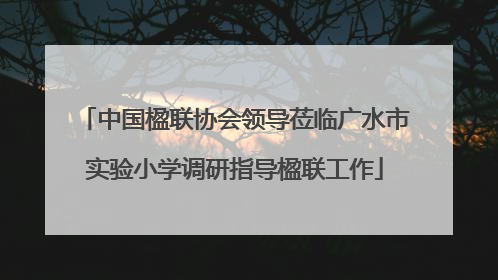 中国楹联协会领导莅临广水市实验小学调研指导楹联工作