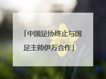 中国足协终止与国足主帅伊万合作