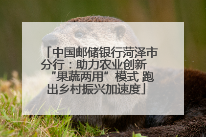 中国邮储银行菏泽市分行：助力农业创新 “果蔬两用”模式 跑出乡村振兴加速度