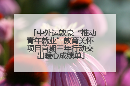 中外运敦豪“推动青年就业”教育关怀项目首期三年行动交出暖心成绩单