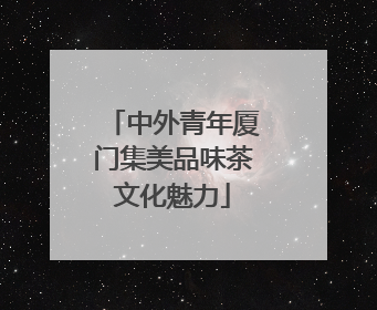 中外青年厦门集美品味茶文化魅力