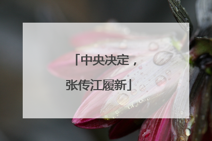 中央决定，张传江履新
