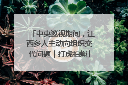 中央巡视期间，江西多人主动向组织交代问题｜打虎拍蝇