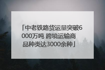 中老铁路货运量突破6000万吨 跨境运输商品种类达3000余种