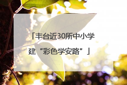 丰台近30所中小学建“彩色学安路”