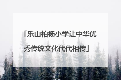乐山柏杨小学让中华优秀传统文化代代相传