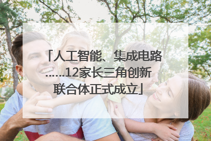 人工智能、集成电路……12家长三角创新联合体正式成立