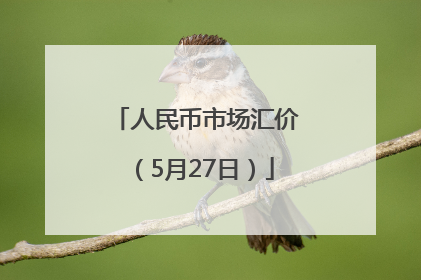 人民币市场汇价（5月27日）