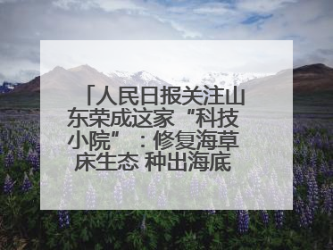 人民日报关注山东荣成这家“科技小院”：修复海草床生态 种出海底“森林”