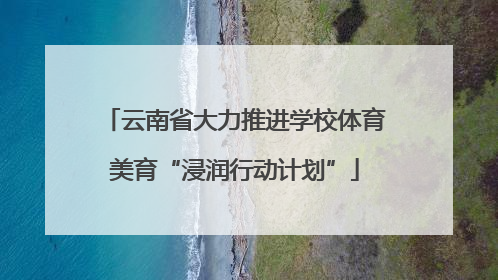 云南省大力推进学校体育美育“浸润行动计划”