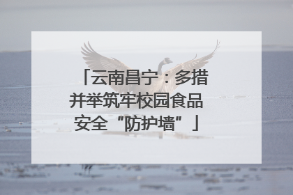云南昌宁：多措并举筑牢校园食品安全“防护墙”