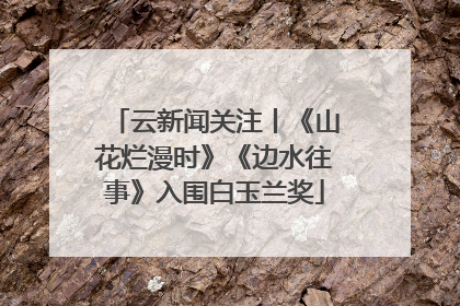 云新闻关注丨《山花烂漫时》《边水往事》入围白玉兰奖