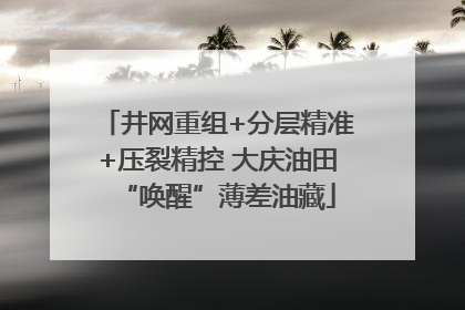 井网重组+分层精准+压裂精控 大庆油田“唤醒”薄差油藏