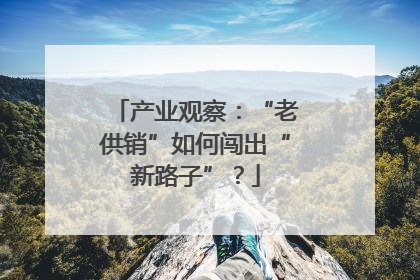 产业观察：“老供销”如何闯出“新路子”？