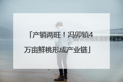 产销两旺！冯卯镇4万亩鲜桃形成产业链