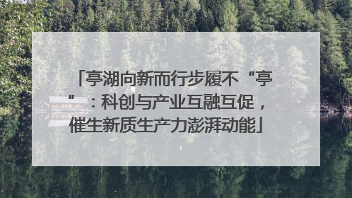 亭湖向新而行步履不“亭”：科创与产业互融互促，催生新质生产力澎湃动能
