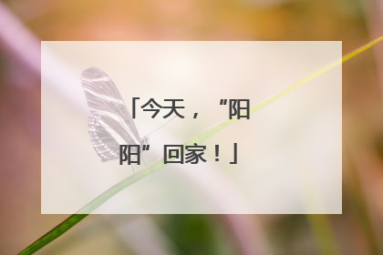 今天，“阳阳”回家！