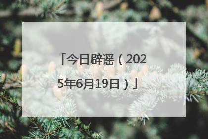 今日辟谣（2025年6月19日）