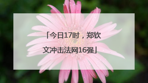 今日17时，郑钦文冲击法网16强