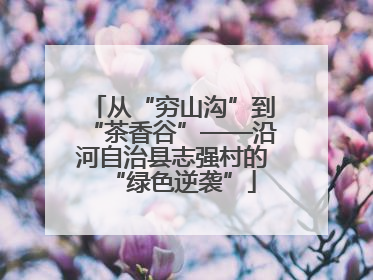 从“穷山沟”到“茶香谷”——沿河自治县志强村的“绿色逆袭”