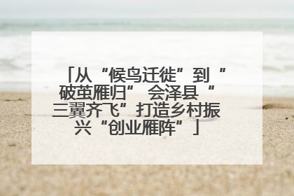 从“候鸟迁徙”到“破茧雁归” 会泽县“三翼齐飞”打造乡村振兴“创业雁阵”