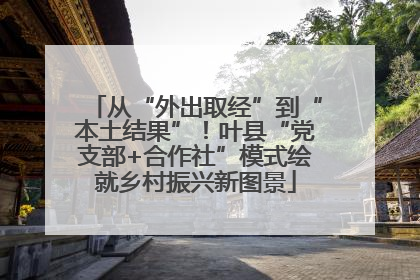 从“外出取经”到“本土结果”！叶县“党支部+合作社”模式绘就乡村振兴新图景