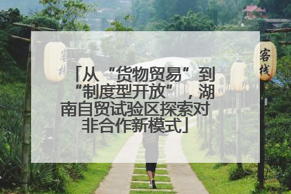 从“货物贸易”到“制度型开放”，湖南自贸试验区探索对非合作新模式