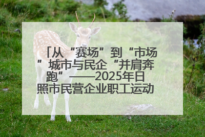 从“赛场”到“市场”城市与民企“并肩奔跑”——2025年日照市民营企业职工运动会亮点观察